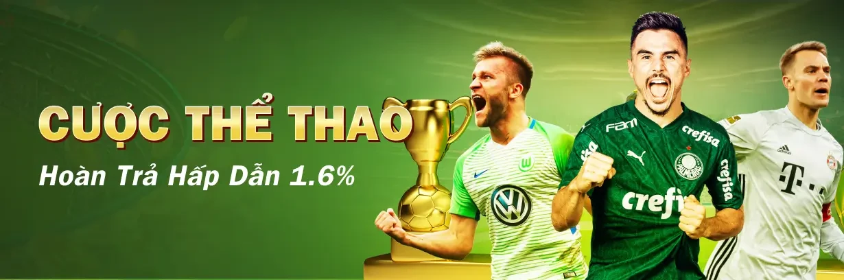 CO88 Hoàn Trả Thể Thao 1.6%, Không Yêu Cầu Vòng Cược