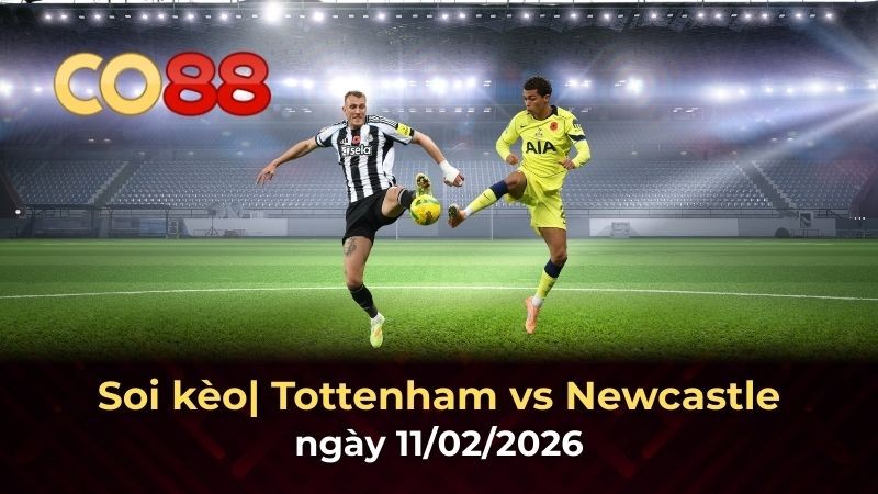 CO88 Nhận định Tottenham vs Newcastle11/2: Chích chòe săn Gà trống tại London