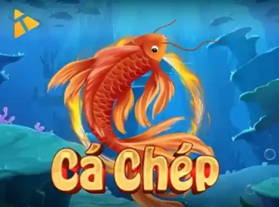 CO88 Cá Chép Hóa Rồng