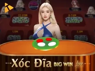 CO88 Xóc Đĩa BigWin