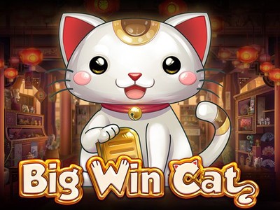 CO88 Big Win Cat